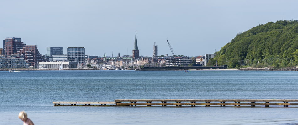Sommer ved Bellevue med kig mod Aarhus